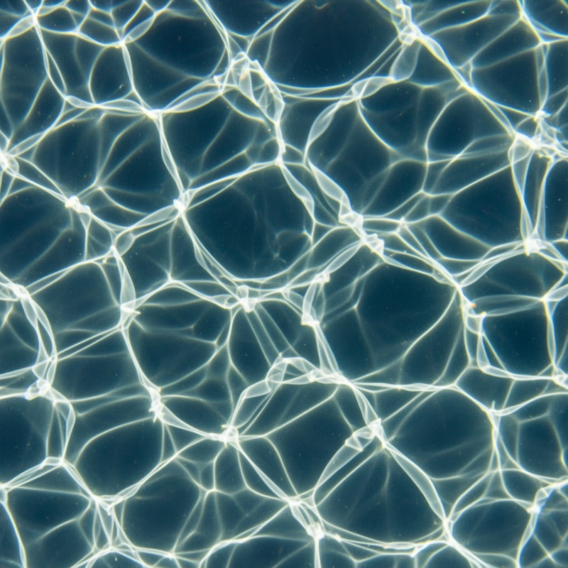 Caustic Textures for Material Design Caustic Textures for Material Design