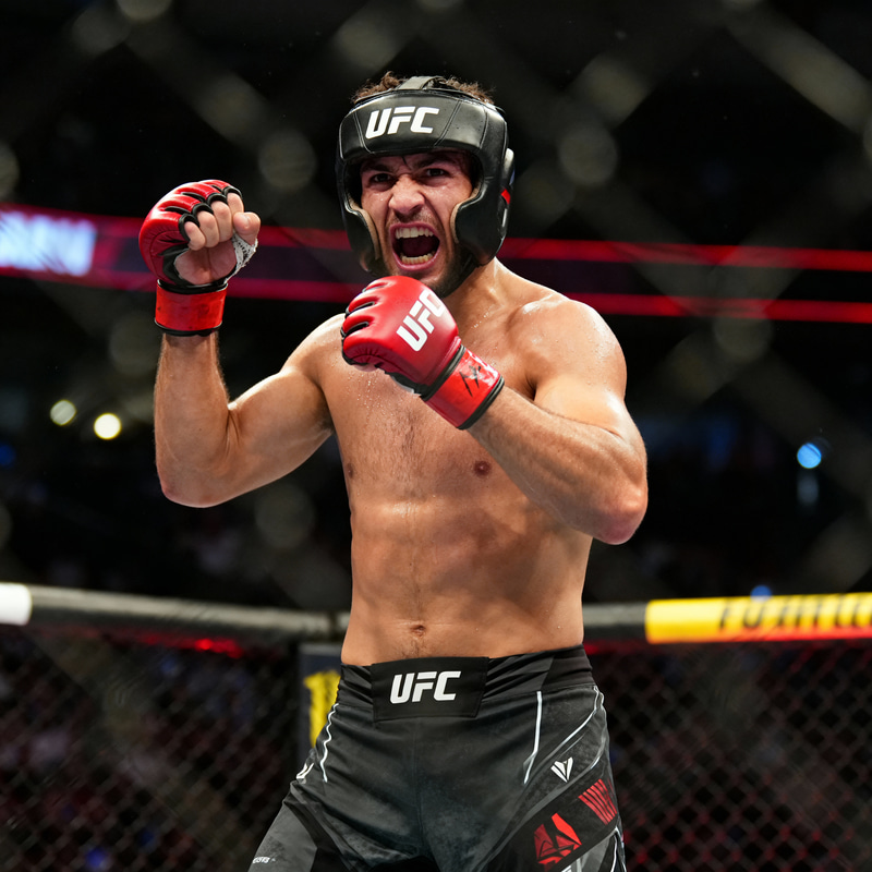 Professional UFC Fighter Photo