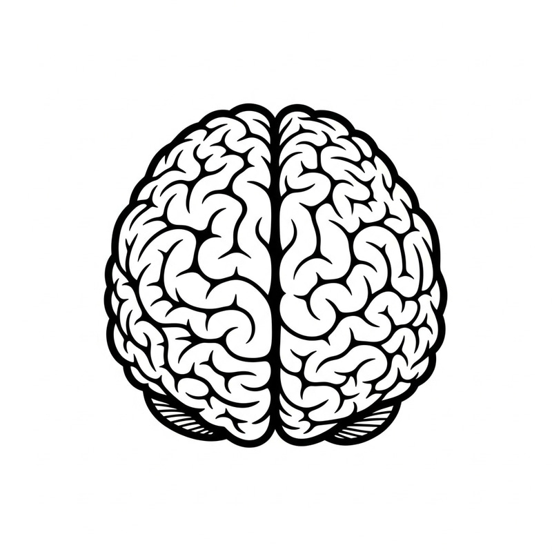 Simple Black and White Brain Visuals