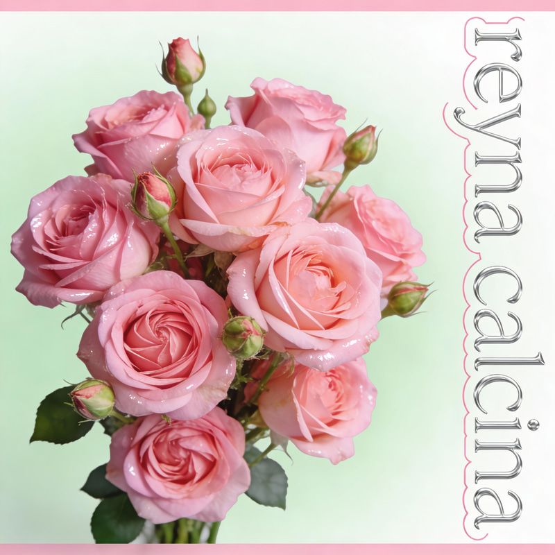 Rosas Diseñado con Nombre Reyna Calcina