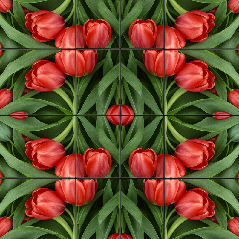 Square Tessellation of Tulips with Leaves Square Tessellation of Tulips with Leaves