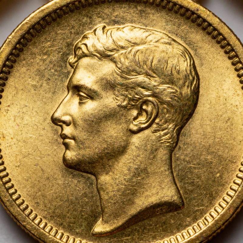 Turn Portrait into a Gold Coin - Unique Art
