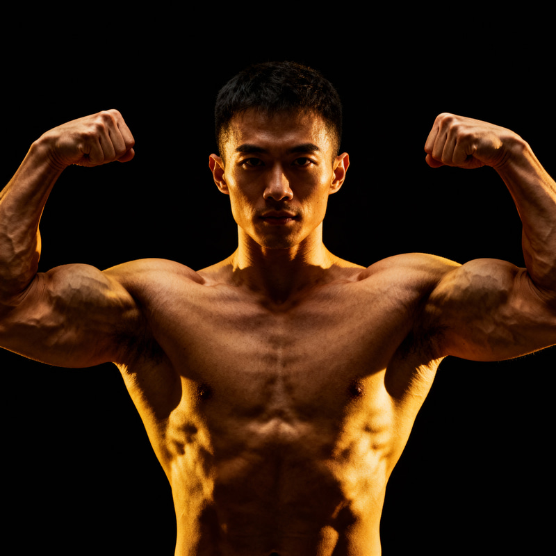 Increase Arm and Bicep Size Effectively Increase Arm and Bicep Size Effectively