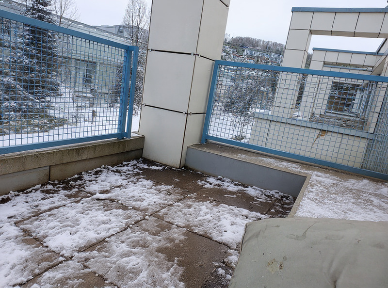 Winter Garden Addition: Enhance Your Space Winter Garden Addition: Enhance Your Space