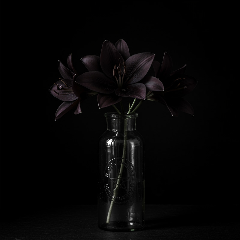 Gothic Nightlily in Glass – Elegant Decor