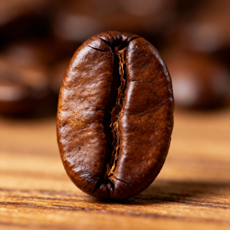 Coffee Bean Image | High-Quality Coffee Pictures Coffee Bean Image | High-Quality Coffee Pictures