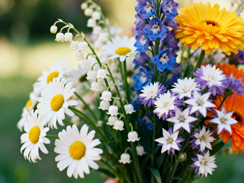 Daisy & Lily of the Valley Bouquet Creations Daisy & Lily of the Valley Bouquet Creations