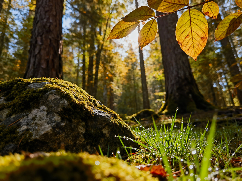 Hyper Realistic Photo - Stunning Visuals Hyper Realistic Photo - Stunning Visuals