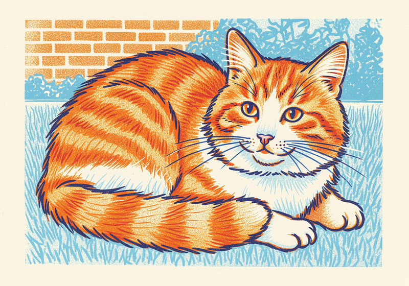 Pudge the Cat in Risograph Style at BGSU Pudge the Cat in Risograph Style at BGSU