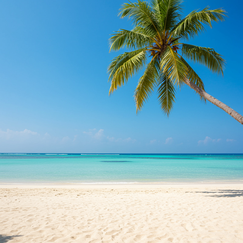 Stunning Playa: Your Dream Beach Destination