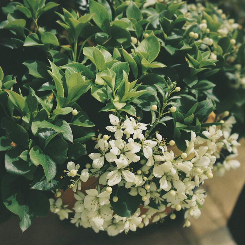 Diverse Women and Men with Unique Hairstyles Diverse Women and Men with Unique Hairstyles