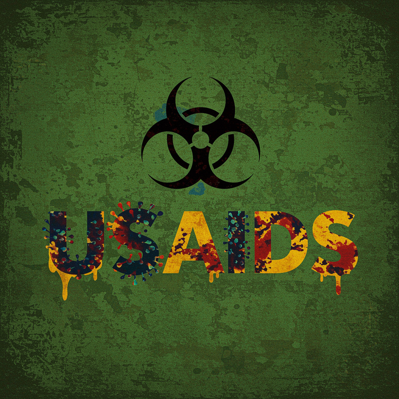 USAIDS Logo Redesign: A Satirical Take USAIDS Logo Redesign: A Satirical Take
