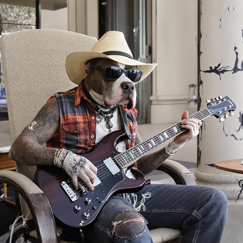 Cool Pitbull Playing Blues Slide Guitar in Grunge Style Cool Pitbull Playing Blues Slide Guitar in Grunge Style